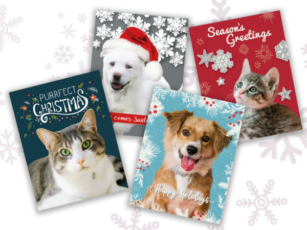 Holiday Cards, gifts that give back
