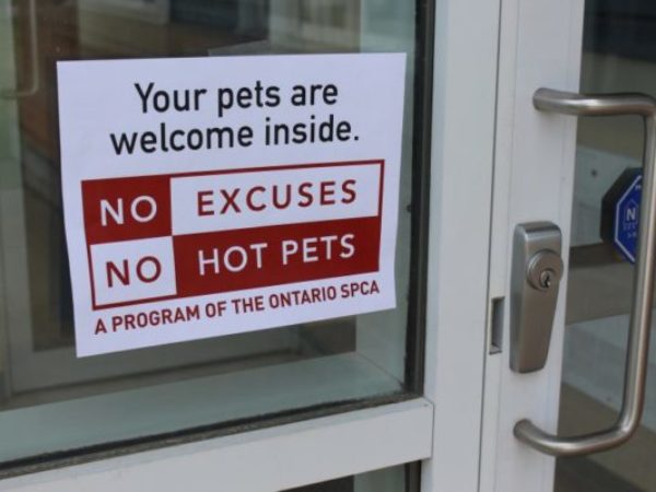 no hot pets, business directory
