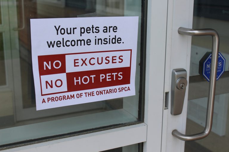 no hot pets, business directory