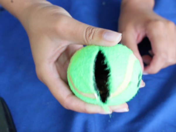 treat dispenser, ontario spca, dog toys