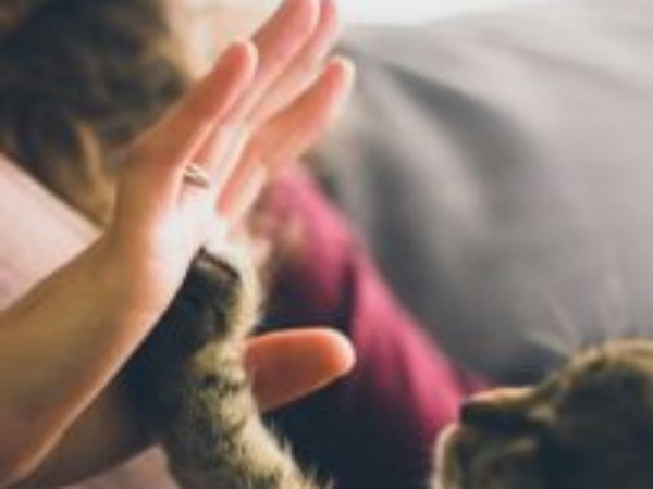 Avoid kitty misunderstandings