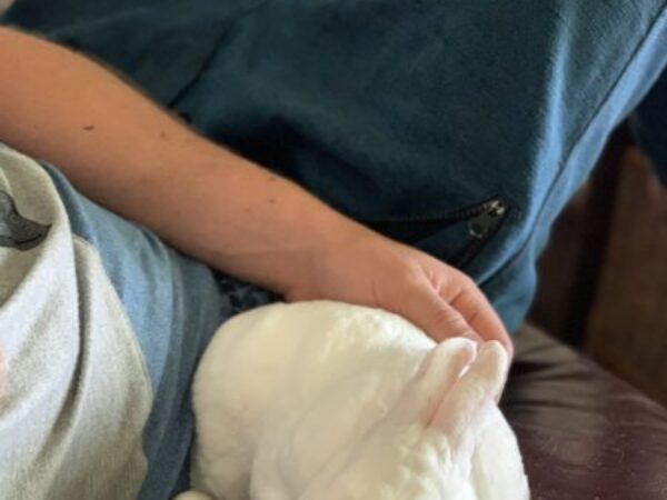 Bunny sleeping with kid