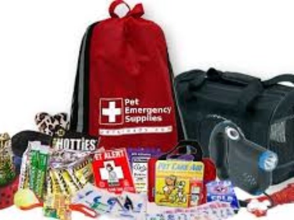 72hr emergency kit