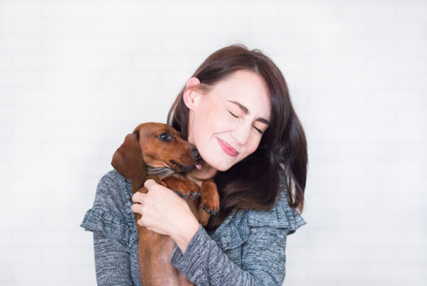 pet sitter, pet tips