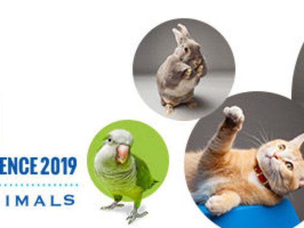 educational conference logo