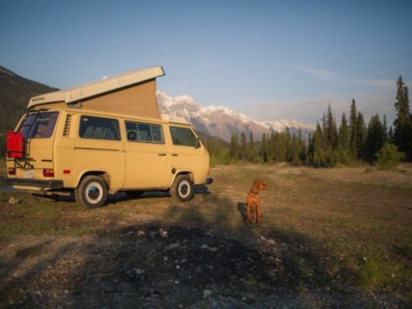road-trip, road-tripping with pets