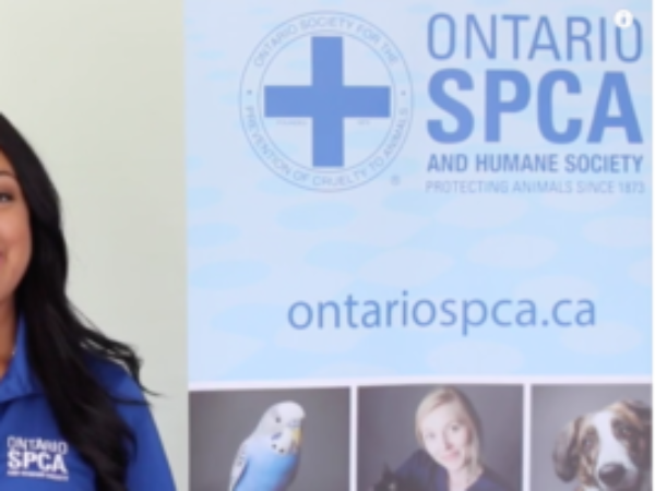 youTube screenshot, Kallie Milleman