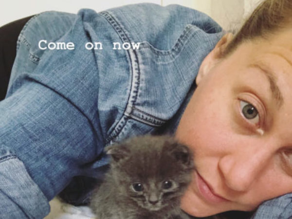 foster care, kitten foster, danielle Matar