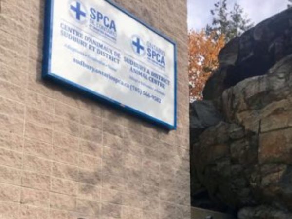 Northern Legacy Horse Farm, donation