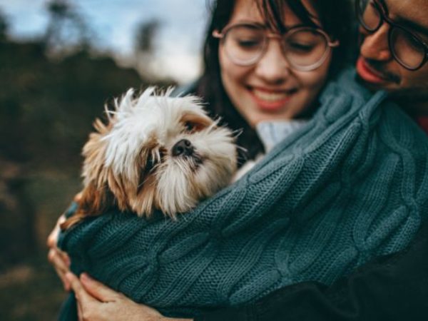 petplan pet insurance, pet insurance, ontario spca, general pet care tips