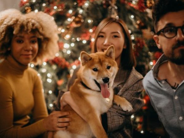 christmas, holidays, holiday pet safety, pets, podcast