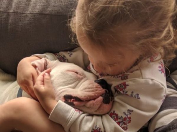 Canada's Cutest Pet contest, christmas kisses, serena ryder, video