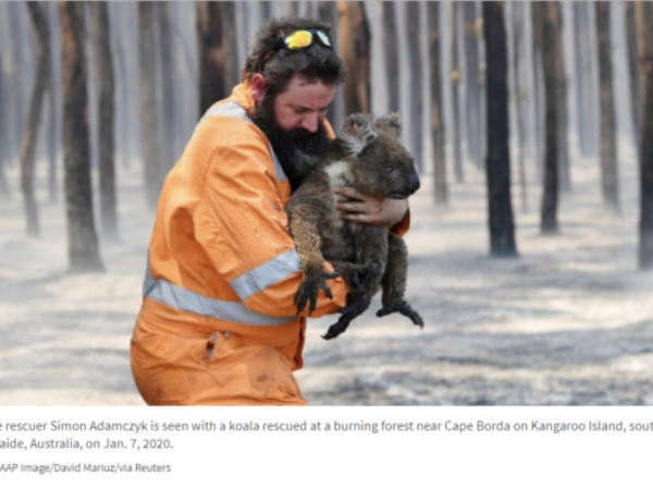 Credit: AAP Image/David Mariuz/via Reuters