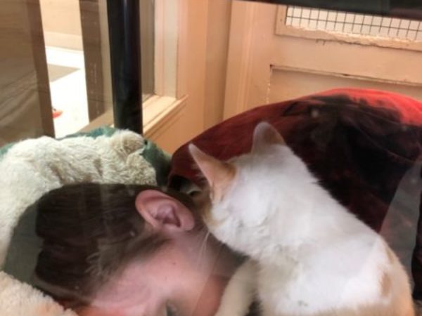 cat-lying-next-to-boy-international-day-of-happiness