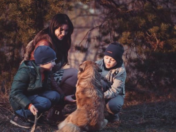 family fun with dog, march break