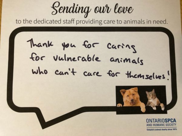 thinkpawsitive campaign