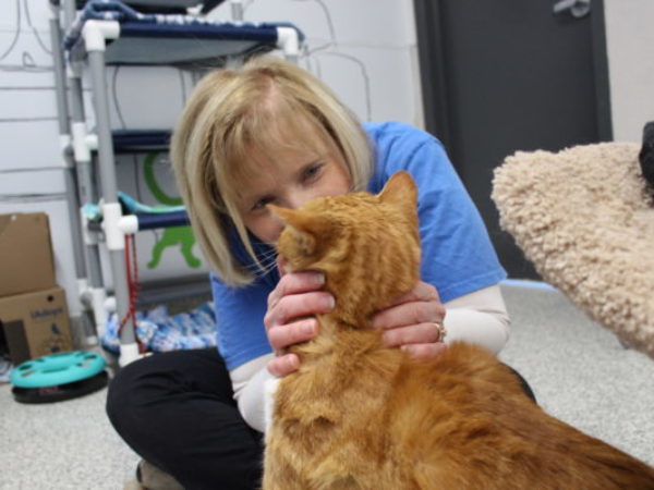 stories of impact, national volunteer week, volunteer contest, volunteers