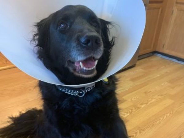 national high five day, cone of fame