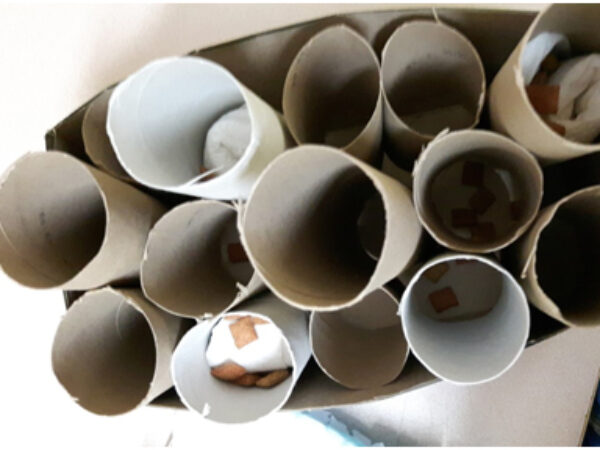 food puzzles, shelter health pro