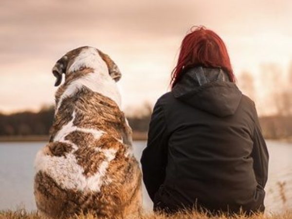 world pet memorial day