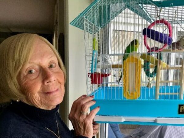 sweat for pets week three challenge, budgie, bird