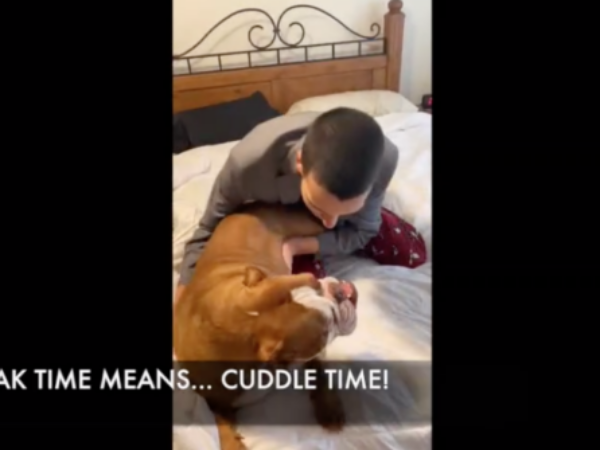 take your dog to work day, pets,