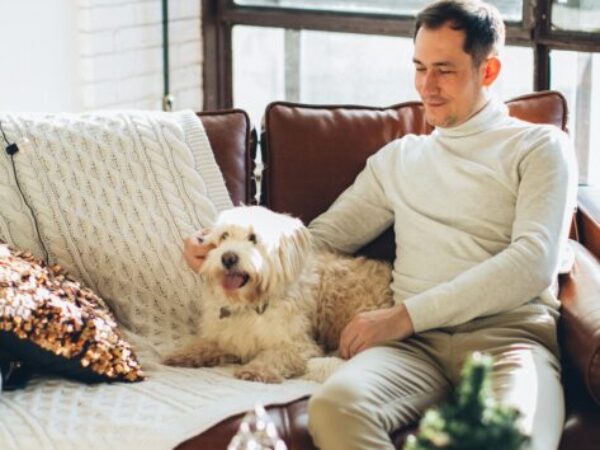 new year's eve safety, new year