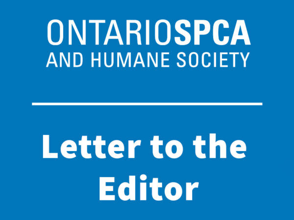 letter to the editor