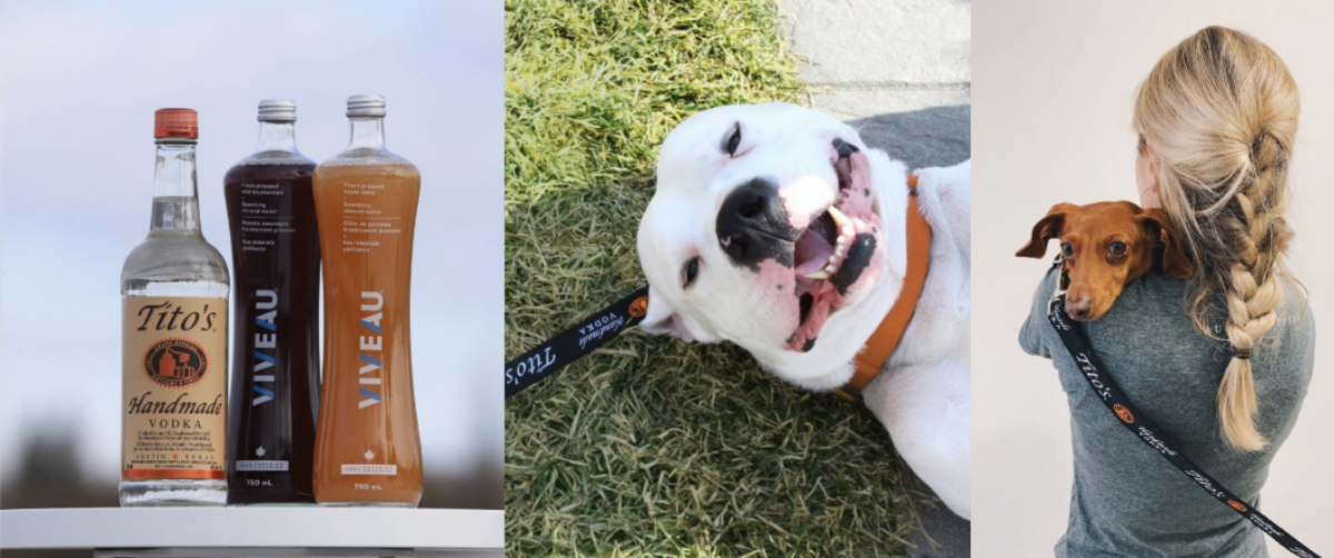 titos vodka, viveau water, animals in need