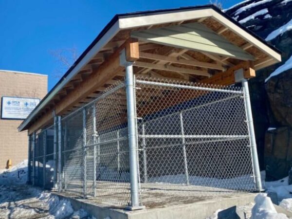 sudbury renovations, outdoor dog runs