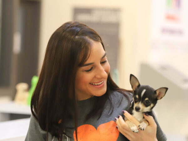 tito's vodka, animals in need