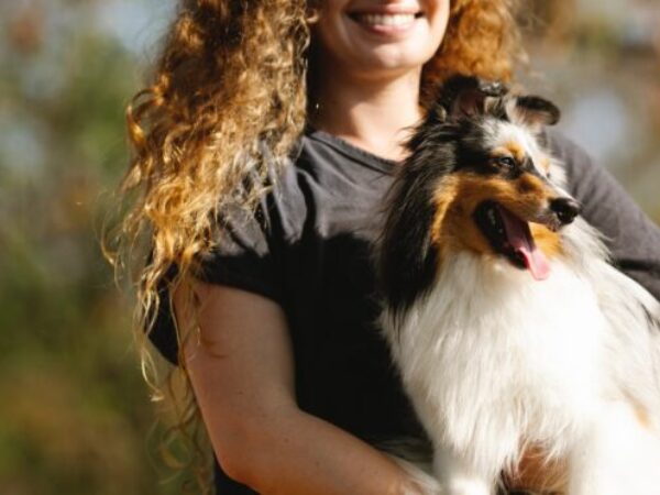 labour day with pets, safety tips