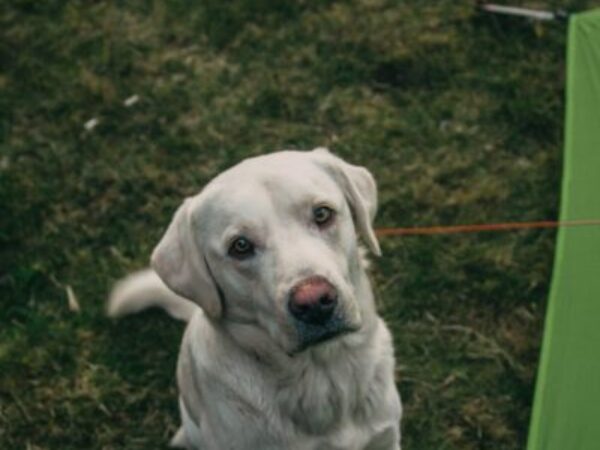 emergency camping kit