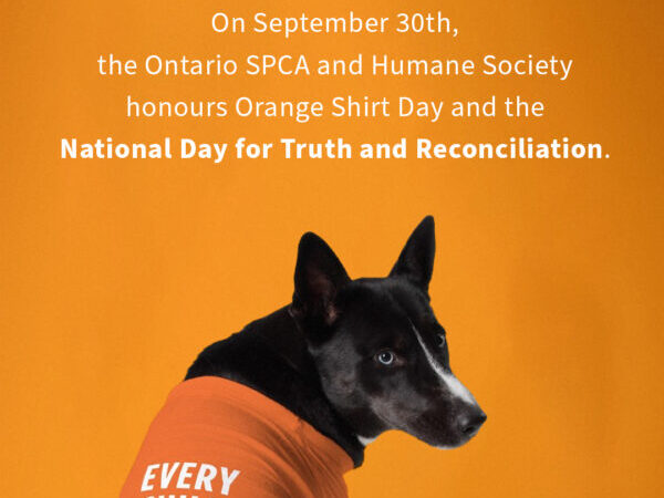 orange shirt day, National Truth and Reconciliation Day