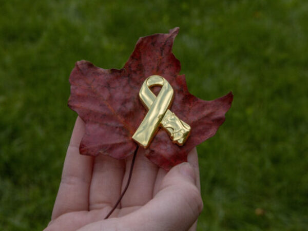 new animals in war cat pin