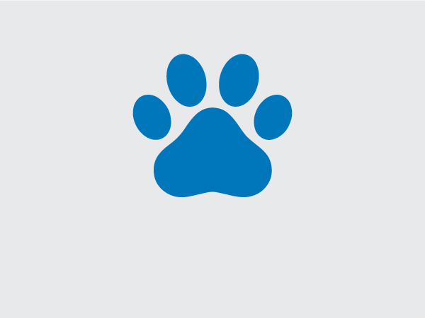 blue paw icon