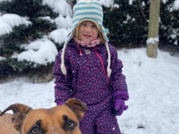 animals in snow, iAdopt for the holidays