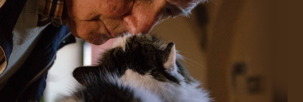 Gift-of-Securities-Banner