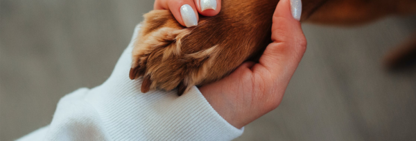 RObbie-Dean-Centre-Pet-Loss-Support-Group-Banner