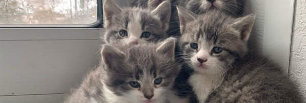 Mothers-Day-2022-web-banner