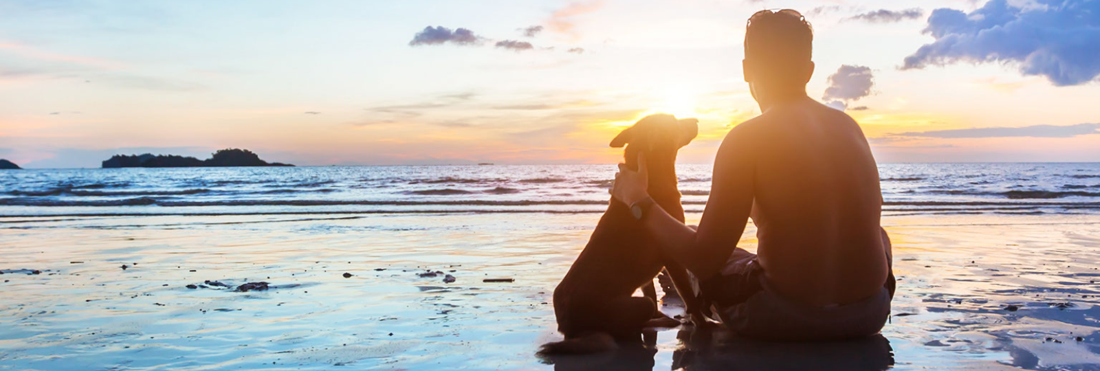 world pet memorial day man with dog on beach with sunset