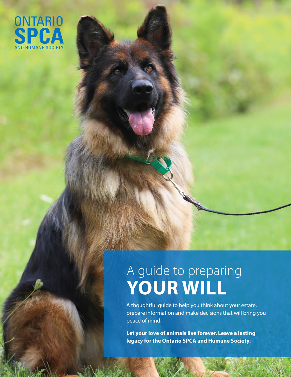 legacy guide cover german shepherd
