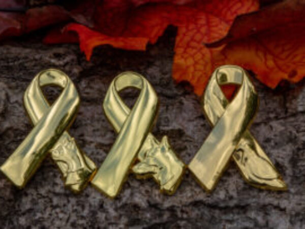 animals in war 2022 gold pins on nature background