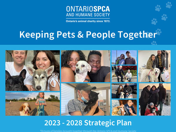 five-year plan, strategic plan