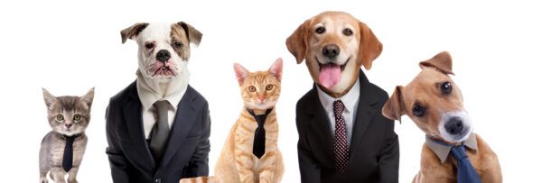 EmployeeGiving-Banner