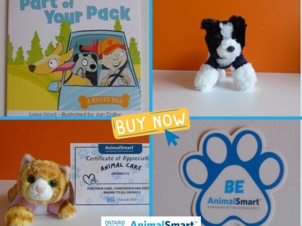 Paws&Give AnimalSmart