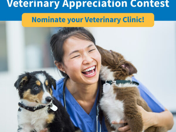 Vet appreciation poster