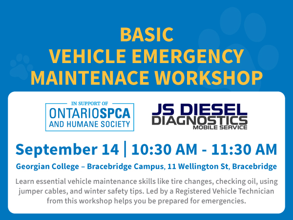 basic vehicle emergency class