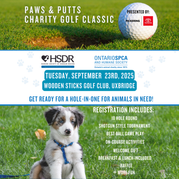 golf tournament event image with event details and puppy
