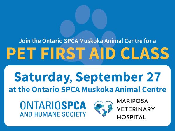 muskoka first aid
